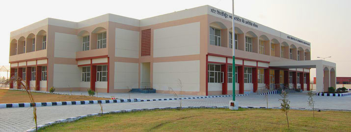 Pollution Free Campus